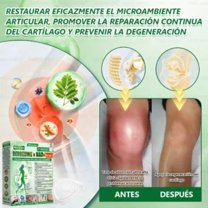 🔥𝐆𝐞𝐞𝐋𝐞𝐦𝐨𝐧® 𝐌𝐨𝐫𝐢𝐧𝐠𝐚 · 𝐁𝐞𝐫𝐛𝐞𝐫𝐢𝐧𝐚 × 𝐍𝐀𝐃+ 𝟏𝟎 𝐞𝐧 𝟏 𝐏𝐚𝐫𝐜𝐡𝐞 𝐀𝐯𝐚𝐧𝐳𝐚𝐝𝐨 𝐝𝐞 𝐍𝐚𝐧𝐨-𝐌𝐢𝐜𝐫𝐨𝐚𝐠𝐮𝐣𝐚𝐬👩⚕️🇺🇸 (Solo una vez al día, cambios visibles en 7 días) ✅ Para la obesidad, la flacidez de la piel, la diabetes y más.